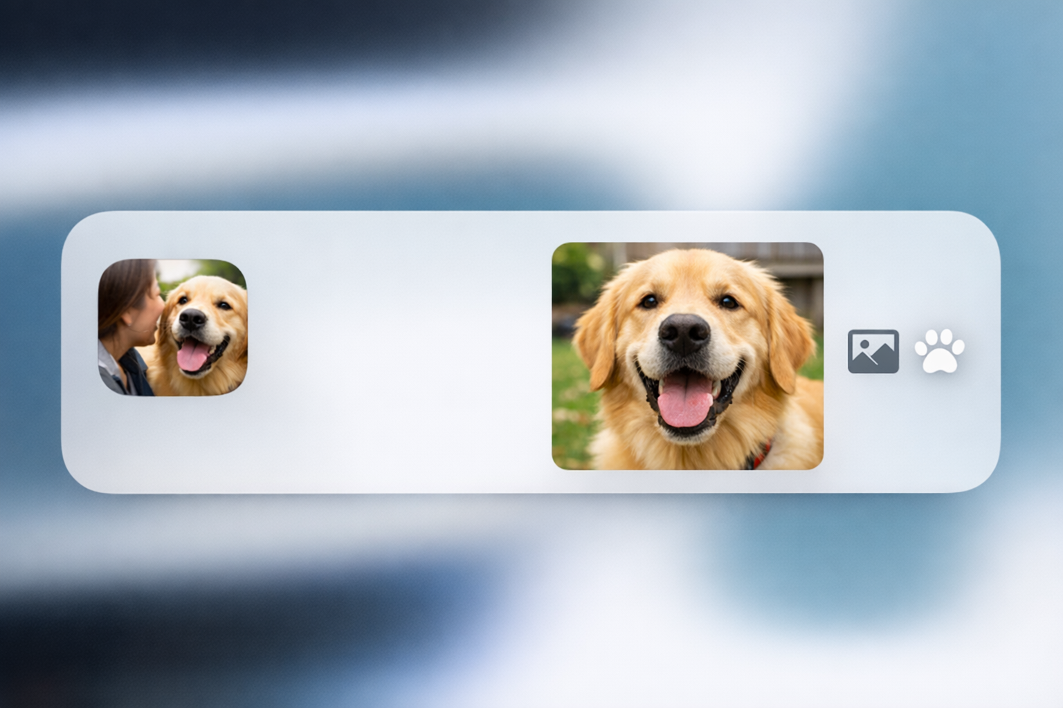 Simple message notification showing photo update of happy dog during pet care visit